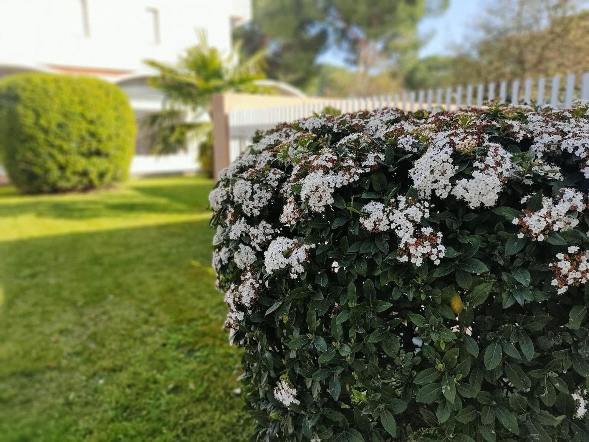 Signora Ruth - Aprilia Residence Aprilia Marittima Dış mekan fotoğraf