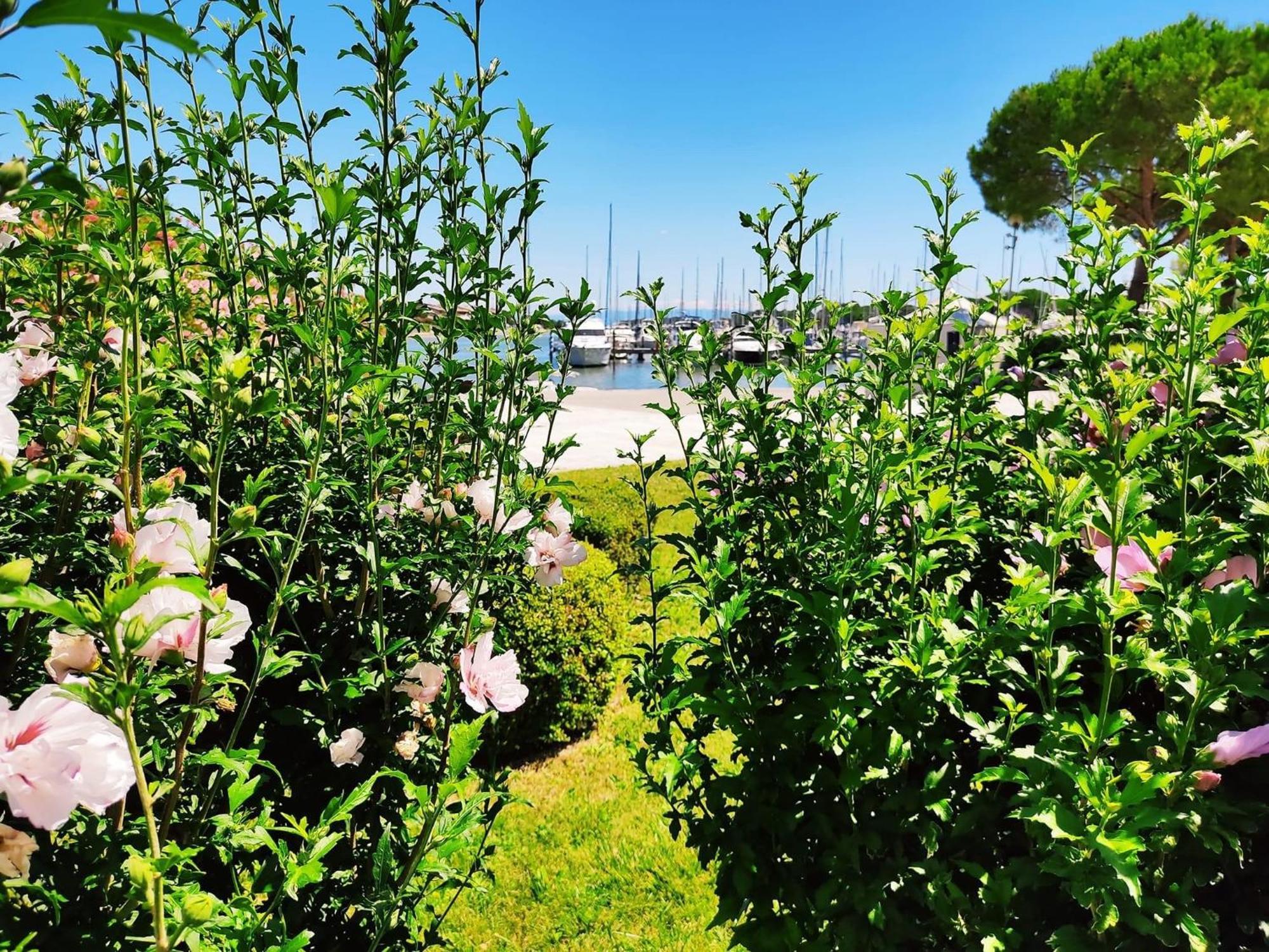 Signora Ruth - Aprilia Residence Aprilia Marittima Dış mekan fotoğraf