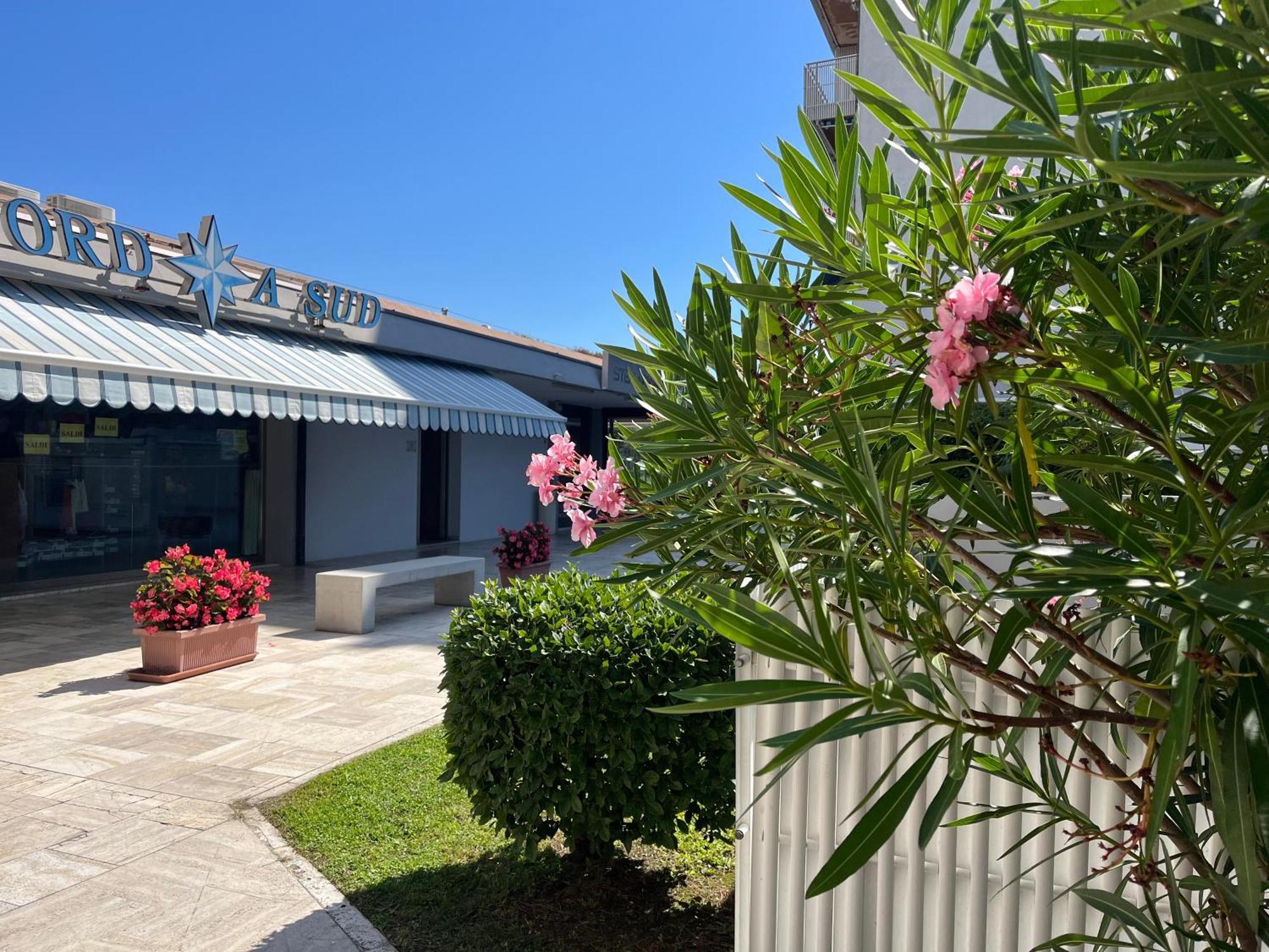 Signora Ruth - Aprilia Residence Aprilia Marittima Dış mekan fotoğraf