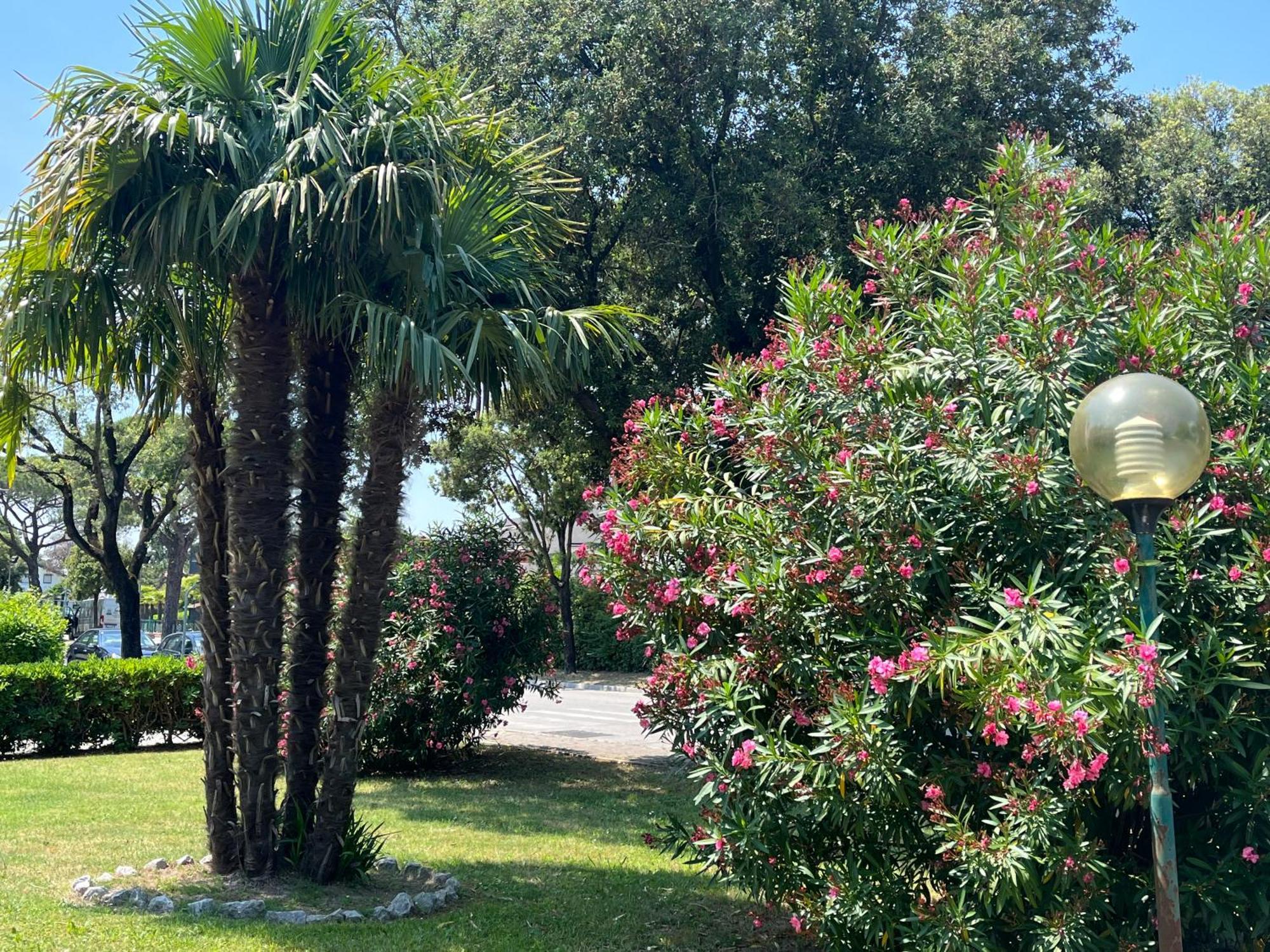 Signora Ruth - Aprilia Residence Aprilia Marittima Dış mekan fotoğraf